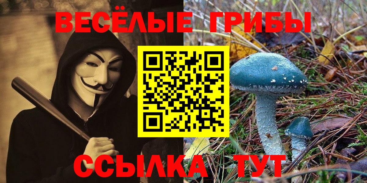 купить   Галлюциногенные грибы ЛСД  Вход с VPN  Зерноград 